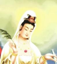 Đầu cành dương liễu