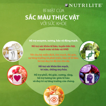 Trổ tài thẩm định dinh dưỡng qua sắc màu rau củ quả