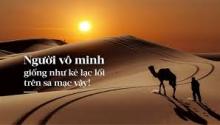 Vô minh