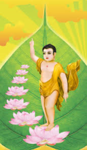 Văn Hóa Đa Dạng Giữa Lễ Phật Đản & Giáng Sinh