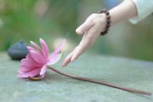 Tự Tử - Căn Bệnh Thời Đại