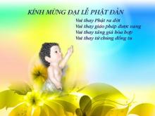 Kỷ Niệm Phật Đản