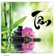 Sự Ghi Nhận Và Lòng Biết Ơn