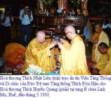 Tâm Tôi Không Thù Hận - hạt nắng từ cao rơi xuống thấp