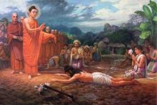 http://www.daophatngaynay.com/vn/phat/article_edit.php#