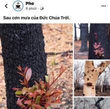 Thế giới đã vào thời kỷ nguyên khoa học rồi