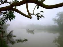 Ba Cõi Thanh Tân