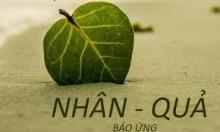 Phúc Đức Có Phải là Biến Thể Của Thuyết Luân Hồi – Nhân Quả