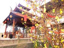 Chiều về trên chùa núi cao