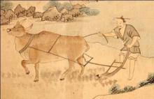 Con trâu với đạo Phật