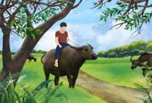 Con Trâu Của Tuệ Trung Thượng Sĩ