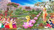 Lời dạy của Đức Phật về dấu ấn 'Đản sinh'