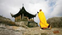 Giới thiệu Di Đà cảnh giới hạnh của Thiền sư Chân Nguyên