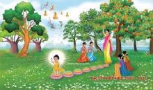Thông Điệp Đại Lễ Phật Đản VESAK Liên Hiệp Quốc 2021
