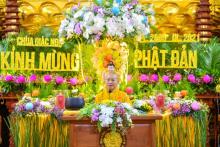 Khóa tu Ngày An Lạc Online: Một bài học, nhiều kinh nghiệm; một lời dạy, ngàn hướng đi