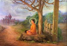 Cuộc đời đức Phật và môi trường