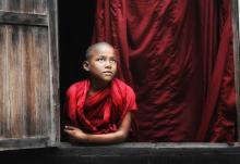 Bhikkhu Cittacakkhu: Màu y bộ phái – Liên hệ đến nhuộm tịnh và điểm tịnh