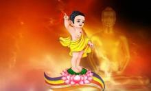 Tản mạn về ngày Phật Đản sinh