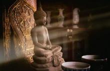 Tâm thị ác nguyên, hình vi tội tẩu