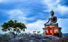 Thương tứ đại
