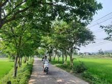 Bóng Mát Giữa Trời (Phần 1)