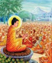 Hướng Về Ngưỡng Cửa Hiểu Biết