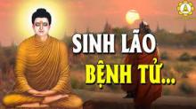 Vượt qua sợ hãi của sanh, lão, bệnh, tử