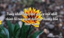 Tình Nhân Loại