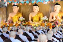 Tăng ly chúng tăng tàn - Hổ ly sơn hổ bại