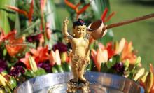 Sự trở lại của Đức Phật (Buddhas Wiederkehr)