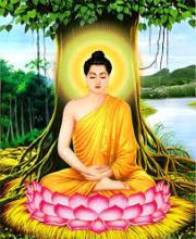 Nhân Ngày Thành Đạo chúng ta tri ân và khắc ghi lời Phật dạy