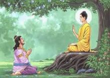 Vua Ba Tư Nặc (Pasenadi) Tỏ Bày Lòng Kính Mộ Đối Với Thế Tôn