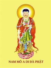 Thành Kính Phân Ưu Gia Đình Sư Phụ Thích Nhật Từ