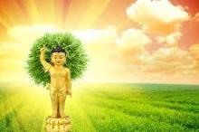 Giới Hương Mùa Phật Đản - An Cư