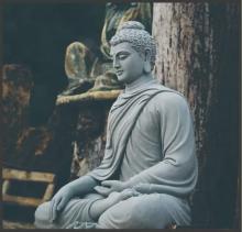 Chùm thơ hướng Phật Thoát vòng tục lụy