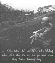 Tâm Linh Độc Hành   (Thầy Tuệ Sỹ Từ Quảng Hương Già Lam Lên Núi…)