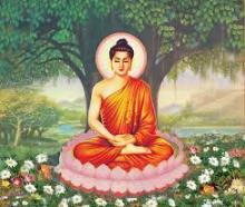 Ý Vui Niềm Bất Hại