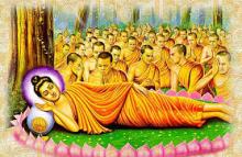 Chân Như Tịnh Tĩnh