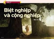 Cộng Nghiệp & Biệt Nghiệp