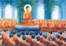 Đức Phật dạy: Thường trực thấy vô ngã sẽ giải thoát