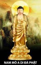 PHÉP TU NIỆM THƯỜNG NGÀY THEO TỊNH ĐỘ TÔN