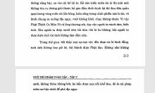 Đọc Ngô Thì Nhậm: Minh Tâm, Kiến Tính