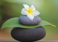 Matthieu Ricard: Tóm gọn toàn bộ Phật giáo vào chánh niệm là quá đơn giản