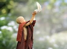 Pháp Hành Giữ Giới Bất Sát Sanh Tuyệt Diệu