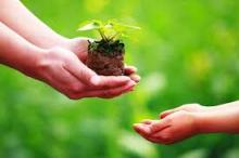 Chia Sẻ Phật Pháp: Tạo Phước Bằng Tấm Lòng và Học Đức Khiêm Tốn