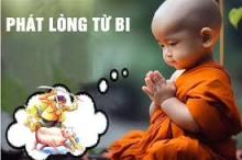 Tu Tập Từ Bi Để Giúp Quảng Kết Thiện Duyên, Tiêu Hết Oán Ghét Đối Nghịch, Hoá Giải Hận Thù, Bình An Cho Mình Cho Muôn Loài Chúng Sanh