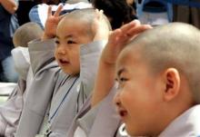 Chú Tiểu, Mẹ Và Bông Hoa Sứ