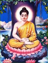 Ngài rời bỏ lối tu khổ hạnh, ngồi thiền 49 ngày đêm dưới gốc cây bồ đề và chứng ngộ chân lý