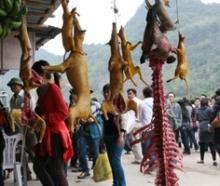 Nguyên “bộ khung” đầy máu me của hươu, nai được bày trước mắt người đi đường.