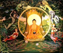 Ý Nghĩa Ngày Thành Đạo